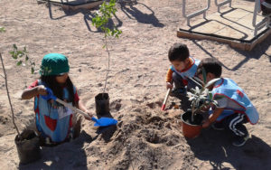 Lee más sobre el artículo Párvulos plantan árboles para abuelitos de Diego de Almagro