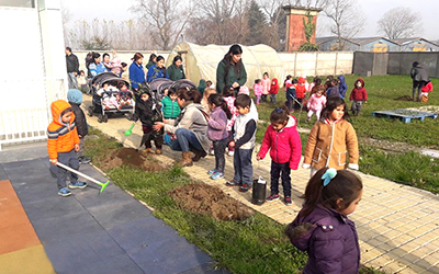 entre los árboles nativos plantados, se encuentran, el Arrayán, Maqui, Maitén, Quilláy, Notro, Canelo y Liquimbar, especies que engrandecen el patio del establecimiento educacional a fin de relevar la importancia del reino vegetal para la vida humana.