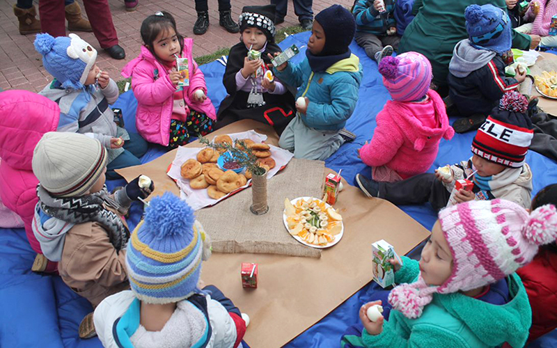 En este momento estás viendo Actividades que incentiven la exploración y observación recomienda JUNJI para las Fiestas Patrias