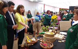 Lee más sobre el artículo Más de 30 jardines exponen en Feria de Educación Parvularia