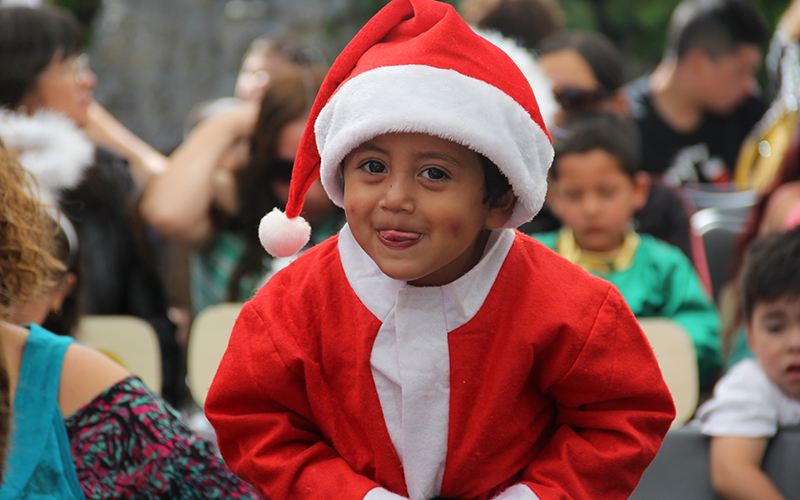 Lee más sobre el artículo La Junji refuerza llamado a resguardar seguridad de los niños y niñas en días previos a las festividades