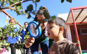 Lee más sobre el artículo 930 niños serán beneficiados con jardines infantiles de JUNJI Biobío en verano