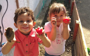 Lee más sobre el artículo En el Jardín “Alegre despertar” partieron el año cosechando tomates y papas