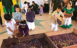 Lee más sobre el artículo Párvulos de jardín “Avioncito” recrean tradiciones del valle de Codpa