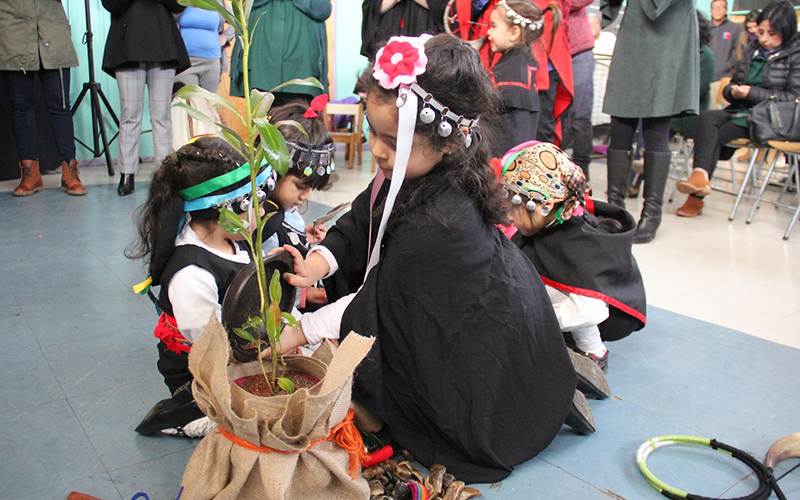Lee más sobre el artículo Junji inicia sus celebraciones de We Tripantu en diversos jardines de la región de Aysén