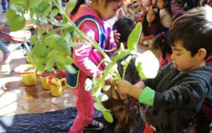 Lee más sobre el artículo Niñas y niños celebran tradicional fiesta de la siembra de la papa