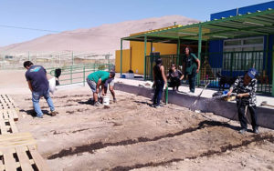 Lee más sobre el artículo En Jardín “Quebrada de Acha” sembrarán entre cerros