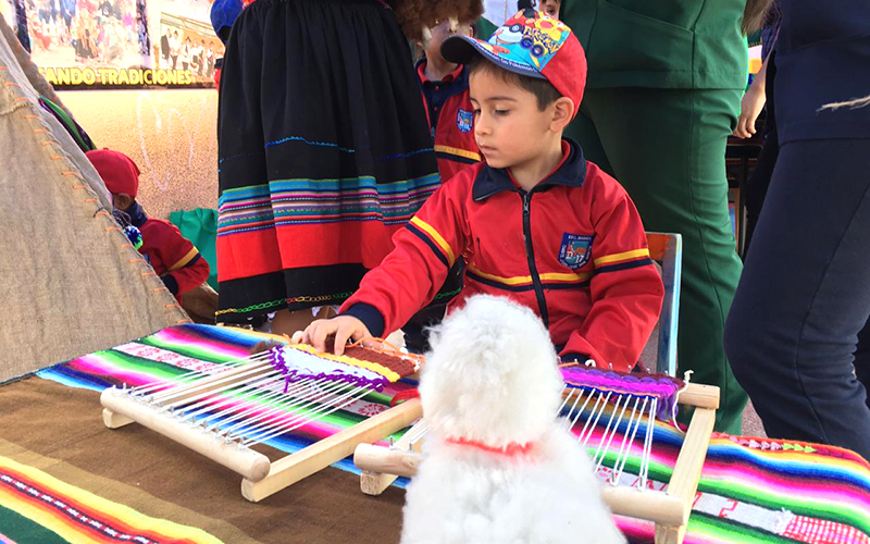Lee más sobre el artículo Jardines de Arica participan en Muestra Intercultural de Educación Parvularia