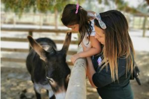 Lee más sobre el artículo Niños y niñas de Concón disfrutan de una entretenida tarde en la granja educativa