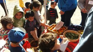 Lee más sobre el artículo Entregan consejos para cuidar la alimentación de niños y niñas durante fiestas patrias