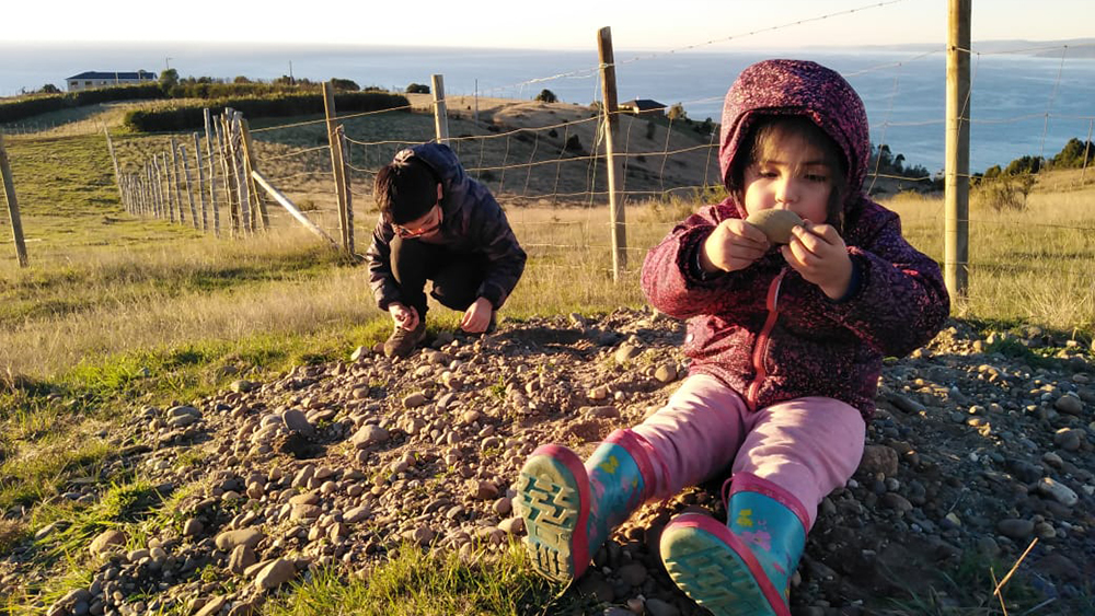 Lee más sobre el artículo Beneficios de aprender al aire libre en educación infantil: Mapeo sistemático de literatura (2018 – 2021)