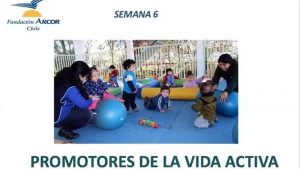 Lee más sobre el artículo Educadoras de Junji O’Higgins son capacitadas por Fundación Arcor como Promotores de Vida Activa