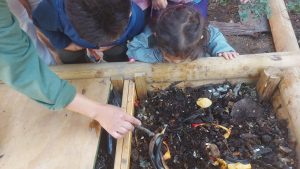 Lee más sobre el artículo Con producción de compost párvulos aprenden la importancia de la tierra para la vida