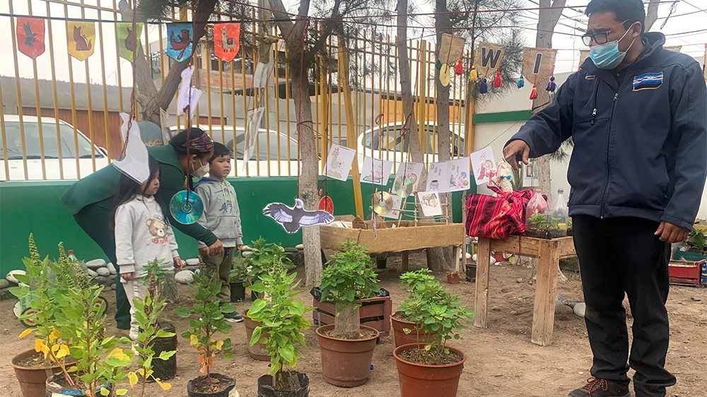 En este momento estás viendo En Jardín Infantil “Avioncito” de Arica cultivan alimentos andinos