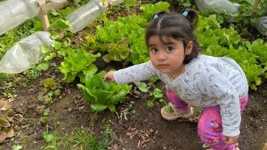 Lee más sobre el artículo Junji O’Higgins y la importancia de la alimentación saludable