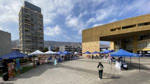 Lee más sobre el artículo “Gran Feria de la diversidad”: La actividad que reunió a emprendimientos de las familias y comunidad del Jardín Capullito