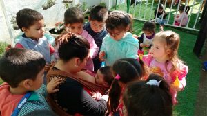 Lee más sobre el artículo Junji Valparaíso conmemora semana de la lactancia materna con certificación de jardines