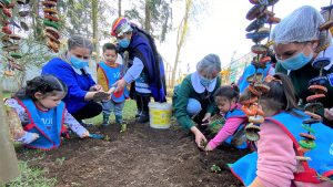 Lee más sobre el artículo Jardines de Loncoche y Villarrica realizan ceremonia ciudadana haciendo un llamado al retorno presencial