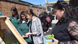 Lee más sobre el artículo Reconocen labor innovadora de jardín “Lago Encantado” de Puerto Varas