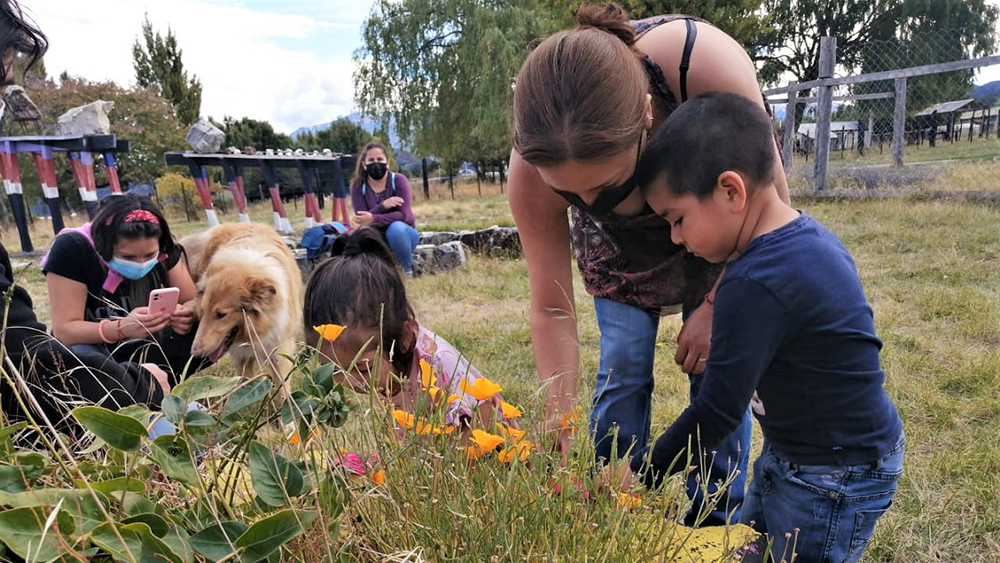 Lee más sobre el artículo Educación ambiental desde la primera infancia: orientaciones y recomendaciones