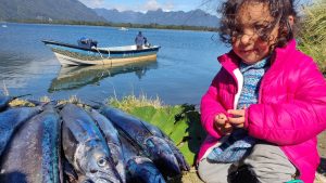 Lee más sobre el artículo Niños y niñas de Junji Aysén vuelven a sus actividades pedagógicas este 24 de julio