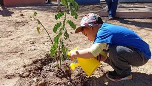 Lee más sobre el artículo Párvulos del Jardín “Blanca Nieves” contribuyen con el medio ambiente plantando árboles en su comuna