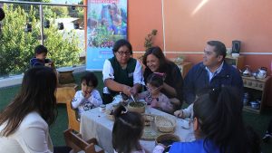 Lee más sobre el artículo Junji Araucanía finaliza exitoso programa jardines infantiles de Verano