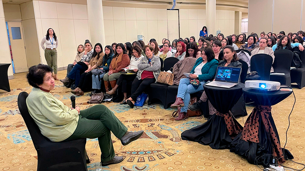 En este momento estás viendo Desarrollan curso sobre marcos curriculares para educadoras y técnicos de jardines VTF y Slep de Los Lagos