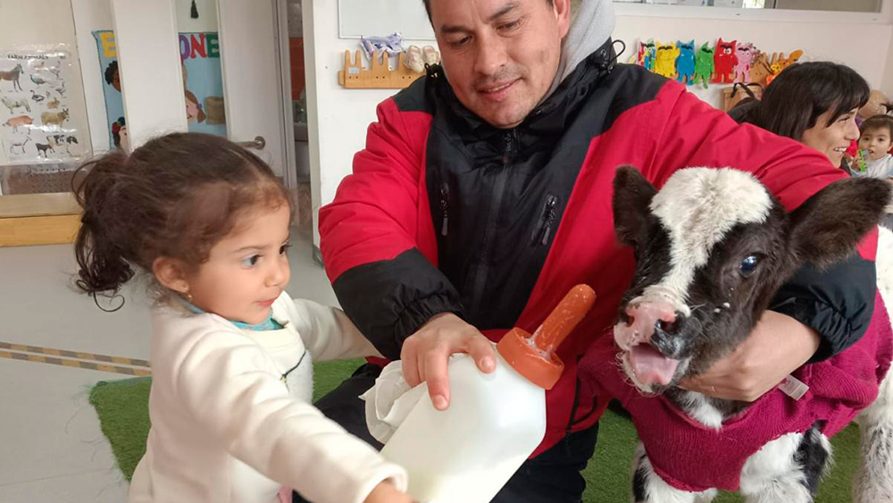 En este momento estás viendo Familias y jardines de la JUNJI Valparaíso transforman la educación en vivencias creativas