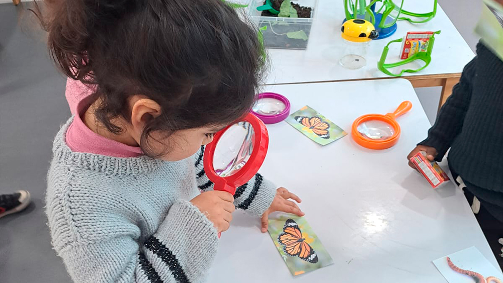 En este momento estás viendo La naturaleza es protagonista en los procesos educativos de los jardines infantiles de la JUNJI