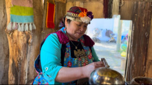 Lee más sobre el artículo Junji Ñuble Celebra el Día de la Mujer Indígena en un Encuentro de Fortalecimiento Cultural y Reconocimiento a la Diversidad