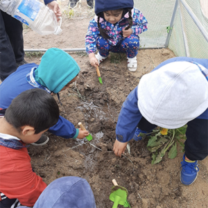 Picture of  <b>Cosmovisión mapuche en la cotidianeidad de las prácticas pedagógicas – Itrhofill mongen tremolkefi ta am (la naturaleza sana el alma) </b>