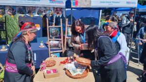 Lee más sobre el artículo Jardines Infantiles de JUNJI Araucanía participan en la 6ª versión de la Muestra Intercultural Pegeluwün