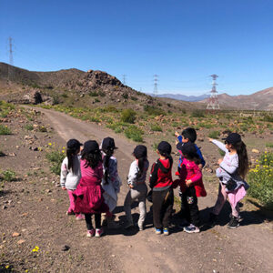 Picture of  <b>Vamos a la punta del cerro</b>