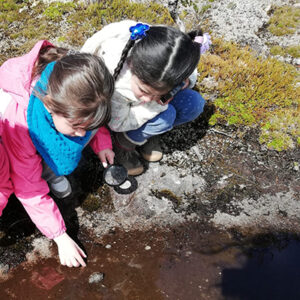 Picture of  <b>Caminatas y campamentos en el bisque de Puerto Edén </b>
