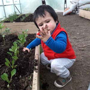 Picture of  <b>Grandes, pequeños cultivando su futuro</b>
