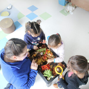 Picture of  <b> “Mis sentidos naturales”: La niñeces de Biobío aportando a la preservación del medio ambiente a través de la reutilización de residuos orgánicos</b>