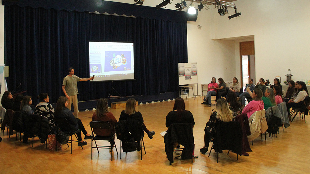 Jornada consideró a profesionales que se desempeñan en establecimientos de las provincias de Antártica Chilena, Tierra del Fuego, Última Esperanza y Magallanes.