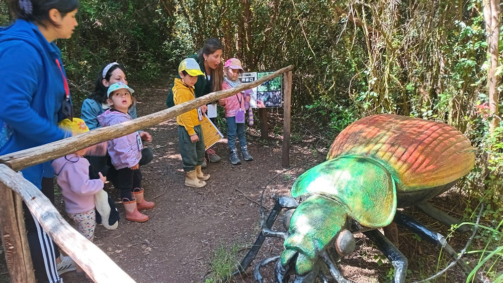 Lee más sobre el artículo Niñas y niños del jardín “Semillas de Punucapa” vivieron una inmersión en el fascinante mundo de los insectos