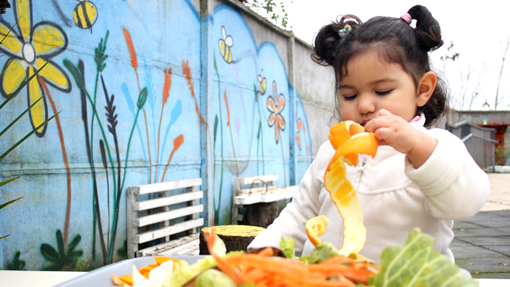 Lee más sobre el artículo Portafolio recopila prácticas pedagógicas destacadas