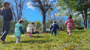 Lee más sobre el artículo Jardín Infantil Tánana: Explorar en el fin del mundo