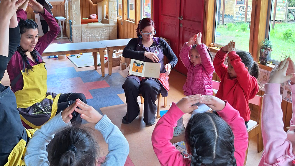 Lee más sobre el artículo Proyecto de fomento lector benefició jardines infantiles de Lago Ranco