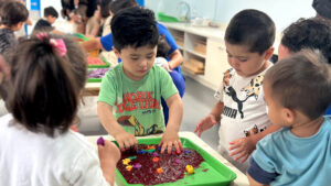 Lee más sobre el artículo Comienzan los Jardines de Verano de JUNJI en la región de Coquimbo