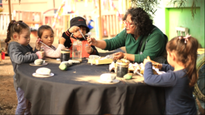 Lee más sobre el artículo Consejo Nacional de Educación aprobó propuesta de nuevos estándares pedagógicos y disciplinarios para las carreras de Educación Parvularia