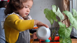Lee más sobre el artículo Autoridades regionales conmemoraron el Día Internacional de la Mujer y la Niña en la Ciencia en jardín infantil de verano de la JUNJI