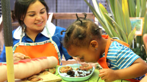 Lee más sobre el artículo Jugando el mundo