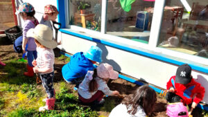 Picture of Juego exploratorio e indagación: vinculando las experiencias científicas en niñas y niños