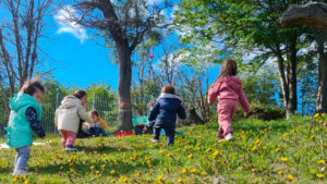 Lee más sobre el artículo Jardín Infantil Tánana, Puerto Williams, Región de Magallanes y la Antártica Chilena: Explorar en el fin del mundo 