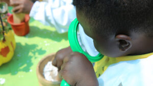 Picture of Editorial Revista 5