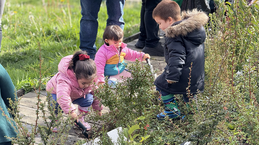 Lee más sobre el artículo Jardín Infantil “Gabriela Mistral” celebra el Día de los Bosques en su proyecto Miyawaki